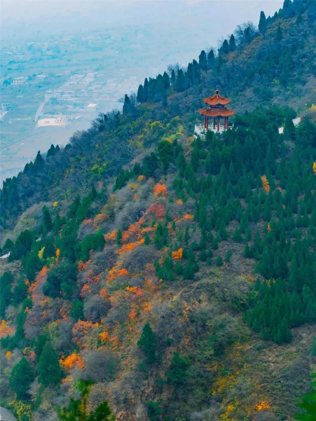 微信图片_20201026091919.jpg