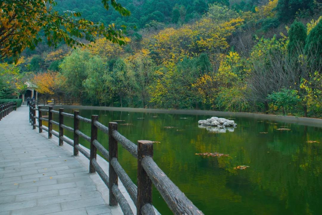 微信图片_20201026091931.jpg