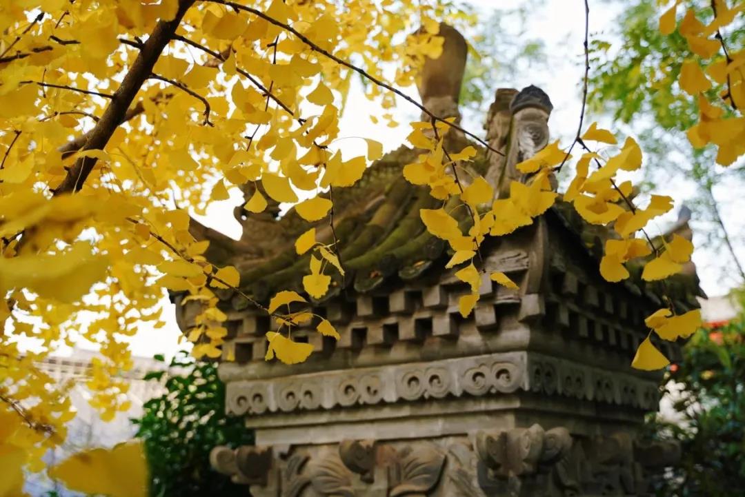 微信图片_20201026091923.jpg