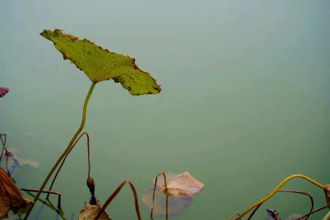 微信图片_20201026091925.jpg