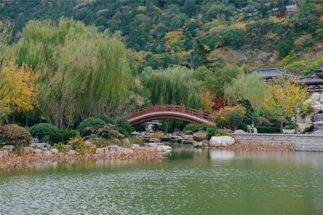 微信图片_20201026092250.jpg