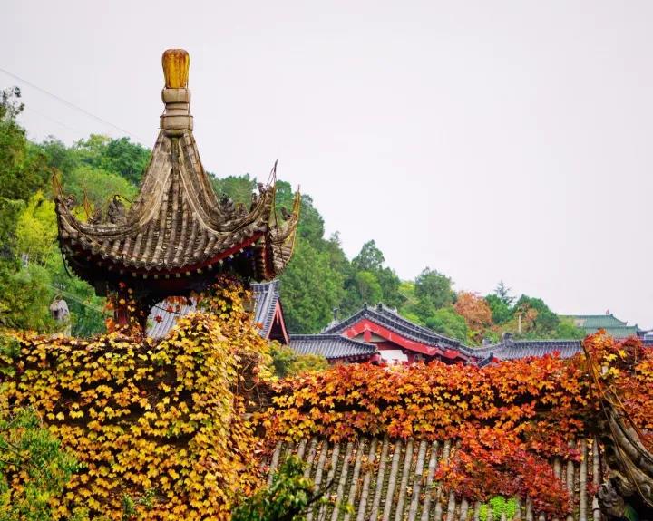 微信图片_20201026092231.jpg