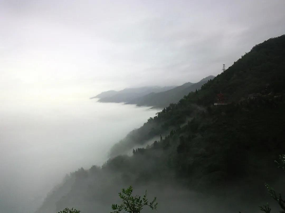 微信图片_20201026092510.jpg