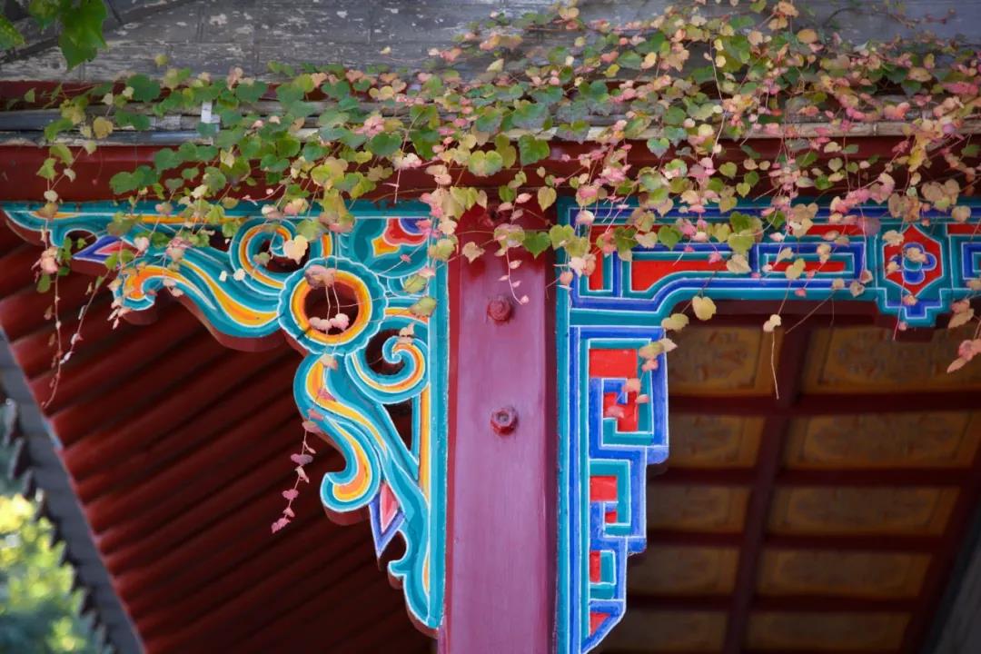 微信图片_20201123090017.jpg