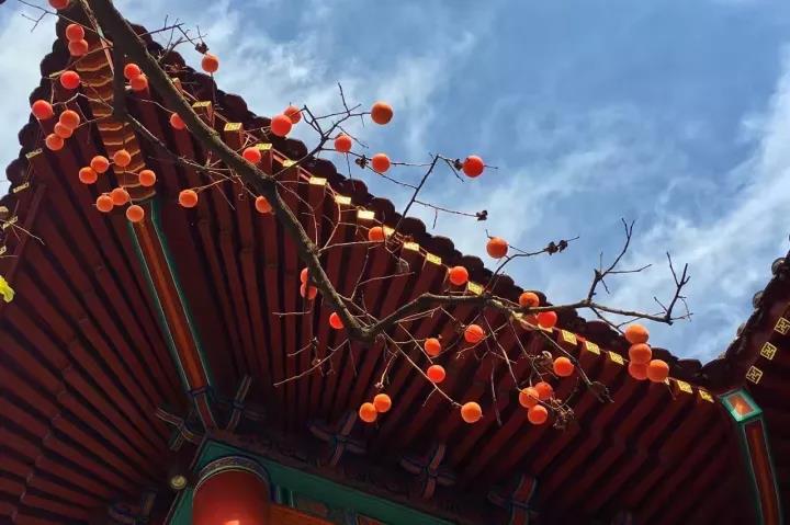 微信图片_20201123090241.jpg