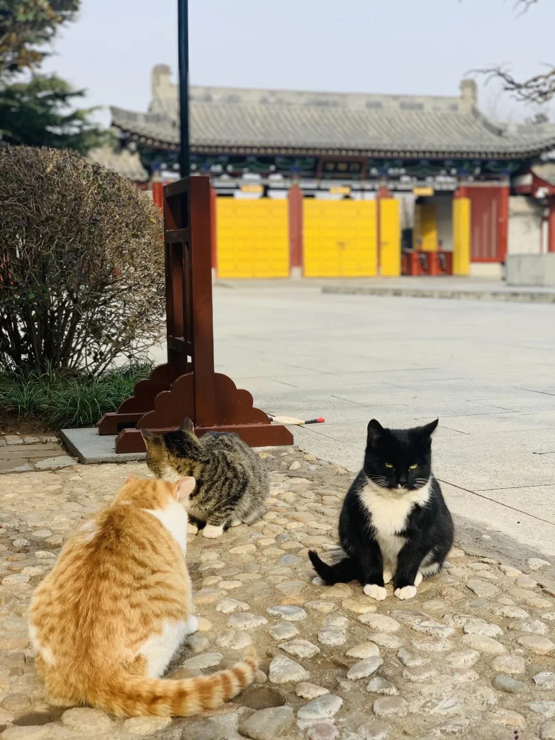 微信图片_20210409095606.jpg