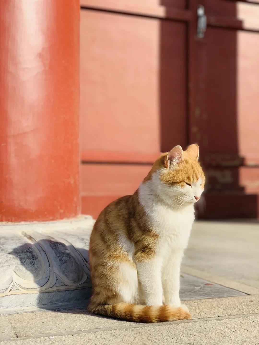 微信图片_20210409095853.jpg