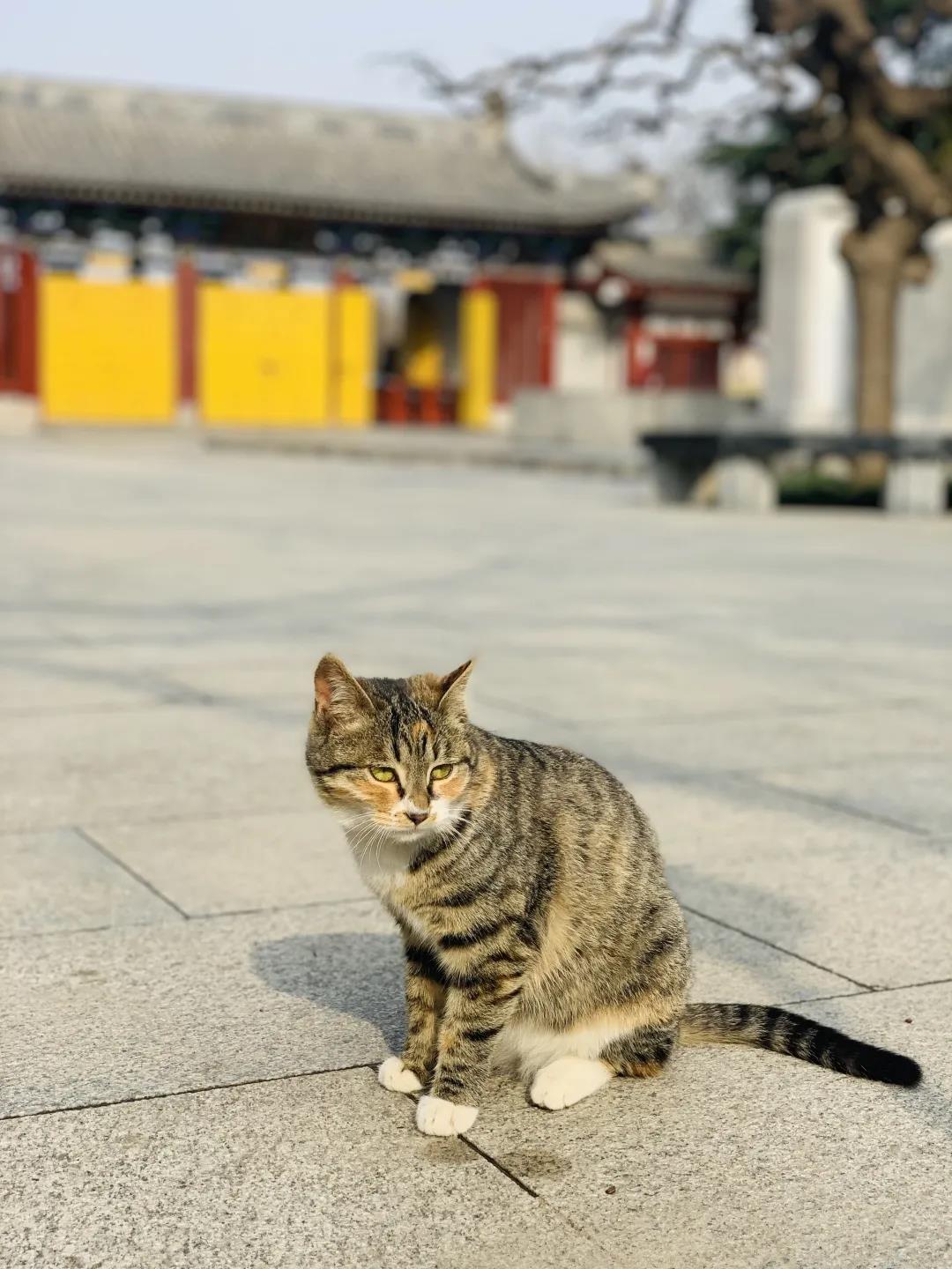 微信图片_20210409095826.jpg