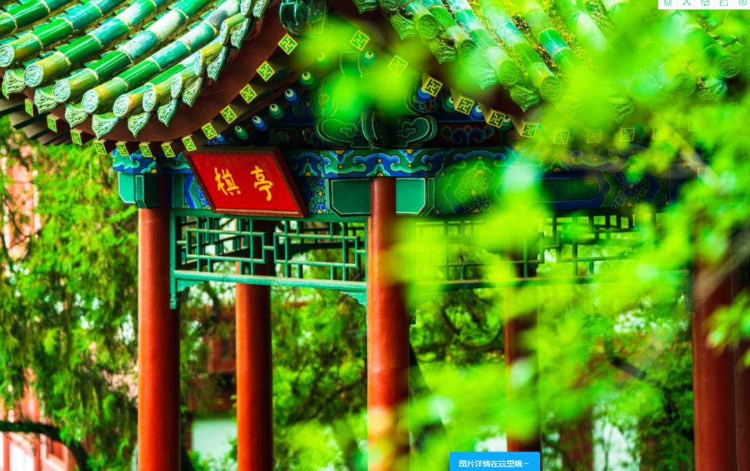 微信图片_20210517092300.png