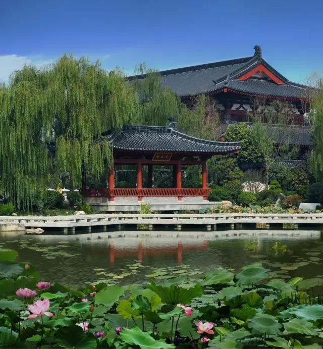 微信图片_20210531093151.jpg