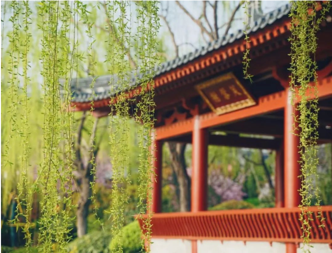 微信图片_20220302155208.png