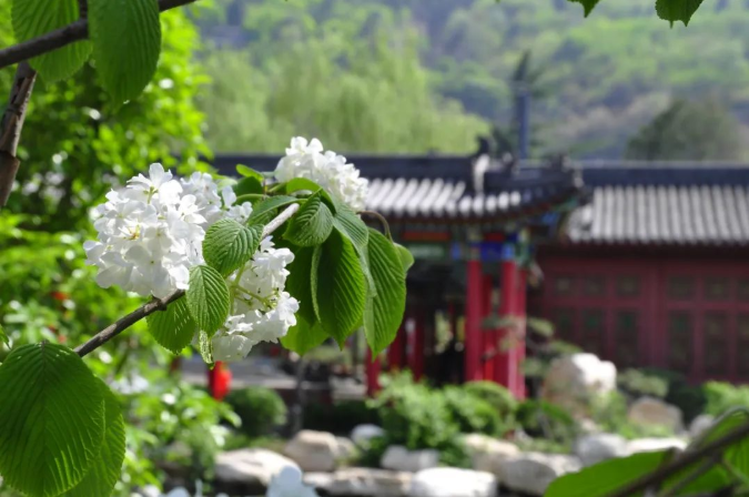 微信图片_20220302155218.png